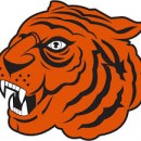 Логотип с изображением тигра победил